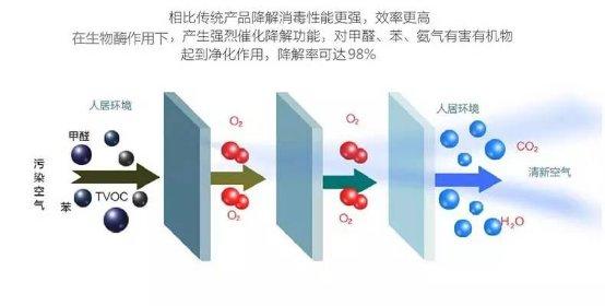 光觸媒、生物酶、空氣凈化器，哪家除甲醛公司效果好？