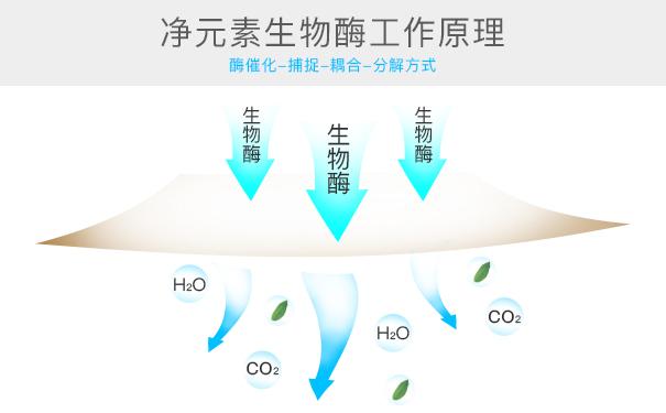 光觸媒、生物酶、空氣凈化器，哪家除甲醛公司效果好？